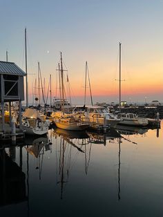 many boats are docked in the water at sunset or dawn, and there is no image here to provide a caption for