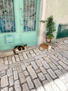 two cats sitting on the sidewalk in front of a green door with glass panes