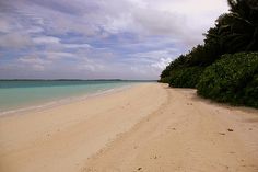 a sandy beach with clear blue water and trees on both sides in front of it