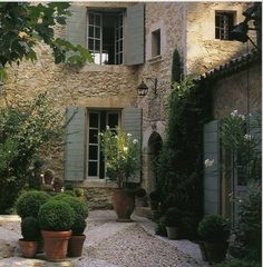 there are many potted plants in front of the house with shutters on the windows