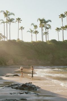 two people holding hands on the beach with palm trees in the backgrouds