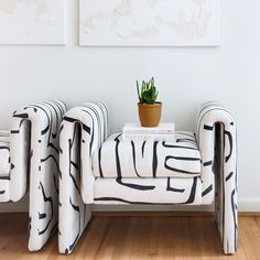 a white couch sitting next to a plant on top of a wooden floor