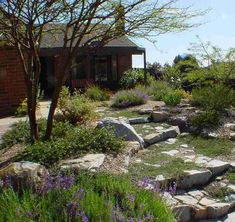 a garden with rocks and flowers in the foreground