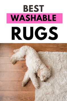 a white dog laying on top of a rug with the words best washable rugs