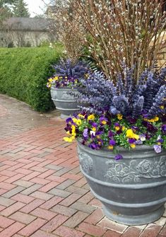 two large flower pots with purple and yellow flowers in them sitting on a brick walkway