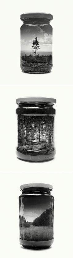 three jars with trees in them on the top and bottom one is black and white