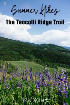 the tecocilli ridge trail with wildflowers and mountains in the background