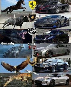 many different types of sports cars and their logos are shown in this photo collage