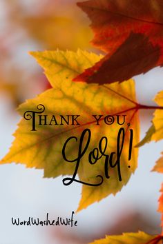 a thank you lord card with autumn leaves