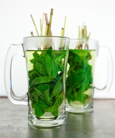 two mugs filled with green leaves on top of a table