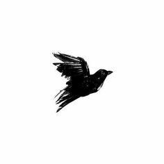 a black bird is flying in the sky