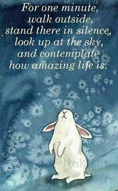 a white rabbit sitting in the snow with a quote above it that says for one minute, walk outside, stand there in the sky, look up at the sky, and contempliate how