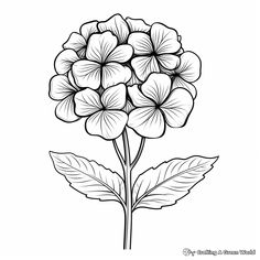 Hydrangea Coloring Pages - Free & Printable! Hydrangea Outline, Flower Coloring Pages Free Printable, Icing Transfers, Hydrangeas Art, Stencil Outline, Gaming Wallpaper, Kindergarten Coloring Pages, Flower Drawings, Butterfly Plants