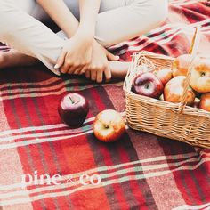 a woman sitting on the ground next to some apples