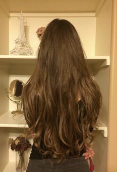 Long Chestnut Hair, Long Hair Goals Aesthetic, Really Long Hair Aesthetic, Brown Hair On Latinas, Utah Waves Hair, Long Brown Hair Natural, Long Princess Hair, Brown Long Hair Aesthetic, Dark Feminine Hairstyles