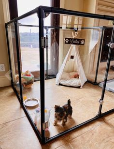 a small dog standing inside of a glass enclosure