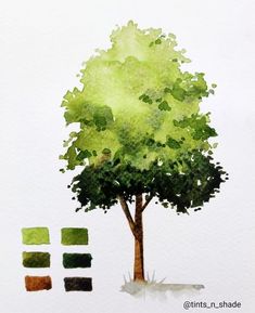 a watercolor painting of a green tree