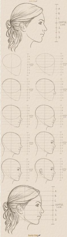 a drawing of various hairs and hair styles for women with long bangs, ponytails, and