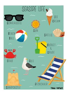 a poster with different types of beach items