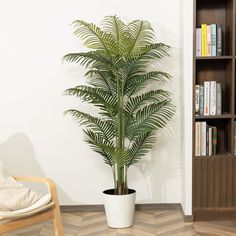 a potted plant sitting on top of a wooden floor next to a book shelf