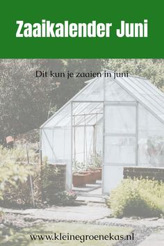 Juni, een maand om te genieten van de achtertuin en tuinkas. In onze moestuin zaaikalender juni staat wat je nu nog kan zaaien. Volg ons voor meer inspiratie en tips voor je tuinkas in je achtertuin!