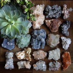 Crystal Intentions, Plants Crystals, Jessica Day, Gemstone Brooch, Crystal Clusters, Earth Gift, Crystals Stones