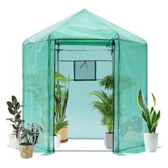 a green house with potted plants in it