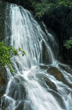 a large waterfall in the middle of a forest