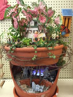 a potted planter with pink flowers in it on a shelf next to other plants