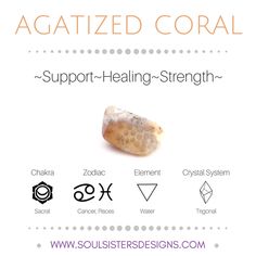 Agatized Coral Coral Meaning, Agatized Coral, Crystal Magick