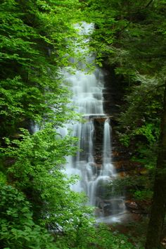 a small waterfall in the middle of a forest