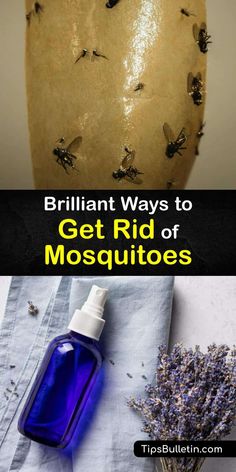 a bottle of mosquito repellent next to a vase filled with lavender