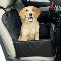 a dog sitting in the back seat of a car