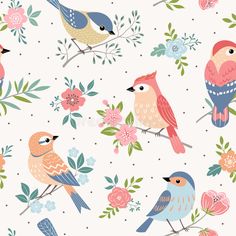 colorful birds and flowers on a white background