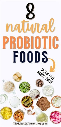 In this list, discover the best foods with probiotics that will not only strengthen your immune defenses but also improve your digestion and gut health! Explore foods with probiotics from homemade dishes to gut healthy fermented foods rich in micronutrients that are beneficial in boosting immunity. These foods for your gut health and foods for a healthy digestive system will help nourish your body and keep your immune and digestive system in top shape! Foods easy on the digestive system. Miso Tempeh, Natural Probiotic Foods, Fermented Milk, Probiotic Benefits, Healthy Probiotics, Nutrition Chart, Natural Probiotics, Nutrition Articles