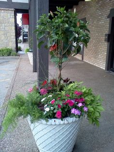 a potted planter filled with flowers on the sidewalk