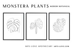 three black and white art prints with monster plants