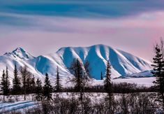 the mountains are covered in snow and trees