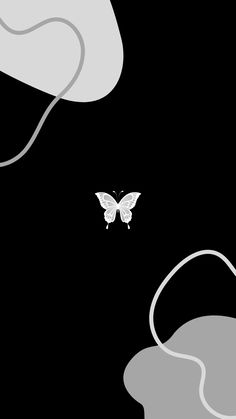 a white butterfly flying over a black background