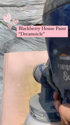 a person holding a parking meter with the words blackberry house paint on it's side