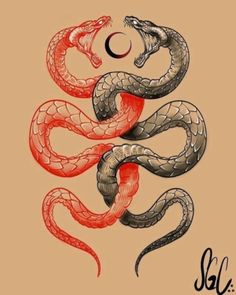 Snakes Tattoo, Japanese Snake Tattoo, Gemini Tattoo Designs, Cobra Tattoo, Serpent Tattoo, Flame Tattoos, Gemini Tattoo, Snake Tattoo Design