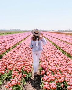 a woman walking through a field full of pink tulips with a hat on her head