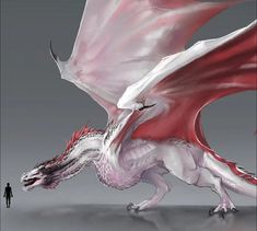 a white and red dragon is flying in the air