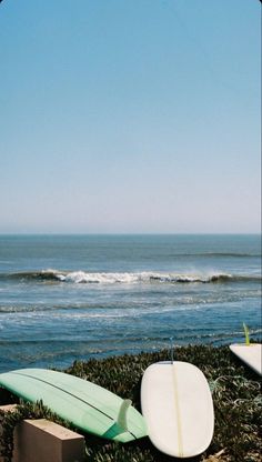 three surfboards are laying on the sand near the ocean