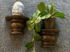 two pots with plants in them sitting on the floor next to each other and one pot has a plant growing out of it