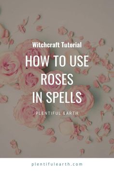 Rose Water Witchcraft Uses, Rose Spells, Rose Leaves Witchcraft, Rose Petal Spells, Rose Petal Magic, Rose Petal Uses Witchcraft, Rose Witchcraft