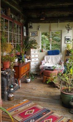 a living room filled with lots of plants and furniture