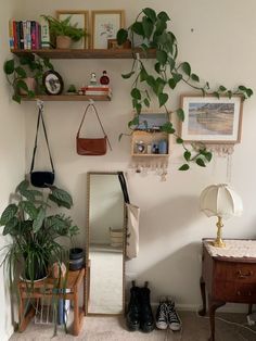 a living room filled with furniture and lots of plants on top of the shelves next to a mirror