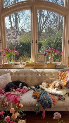 two dogs sleeping on a couch in front of a large window with pink flowers and greenery