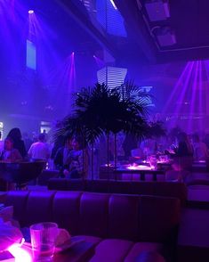 people sitting at tables in a restaurant with purple lighting on the walls and palm trees